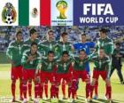Выбор Мексики, Группа A, Бразилия 2014